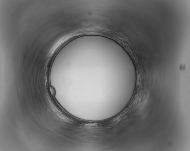 X0000112850054200908211040