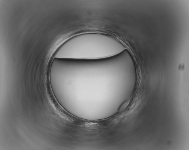 X0000112850055200908211040