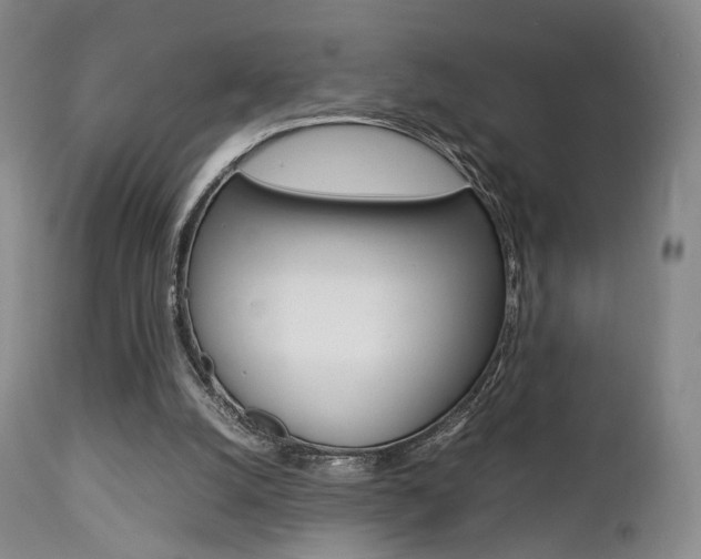 X0000112850056200908211040