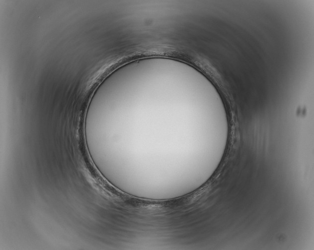 X0000112850058200908211040