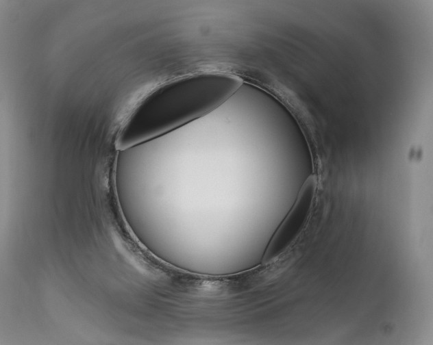 X0000112850060200908211040