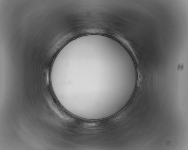 X0000112850061200908211040