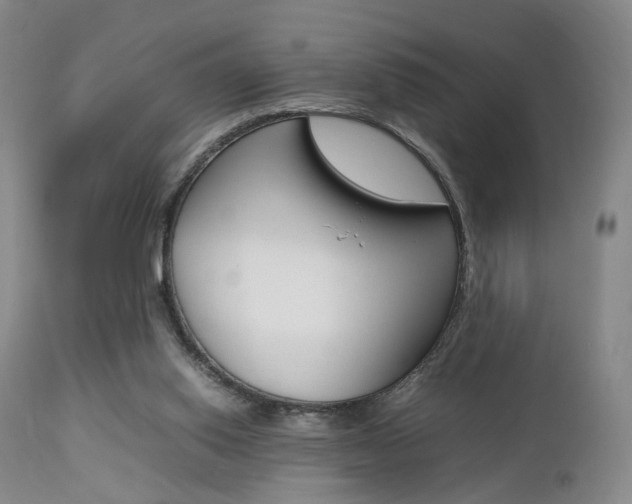 X0000112850062200908211040