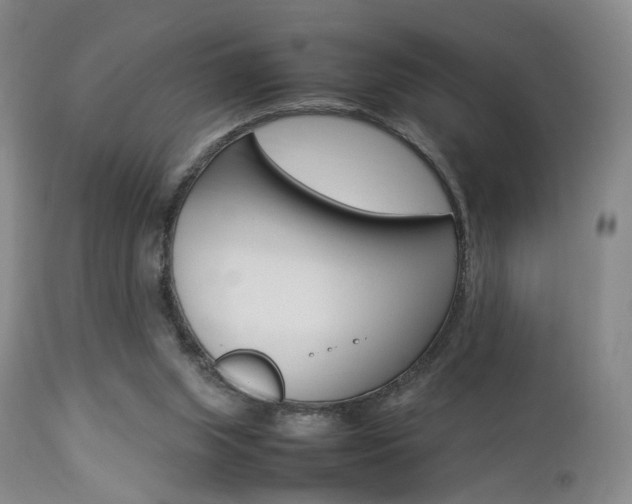 X0000112850063200908211040