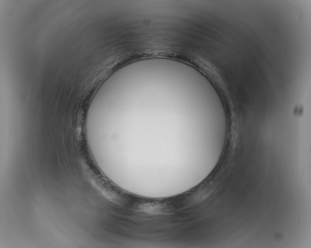 X0000112850065200908211040