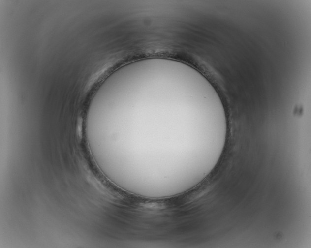 X0000112850067200908211040