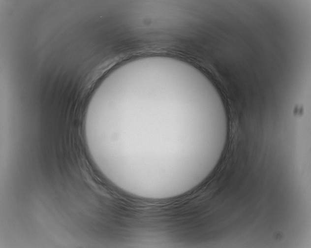 X0000112850068200908211040
