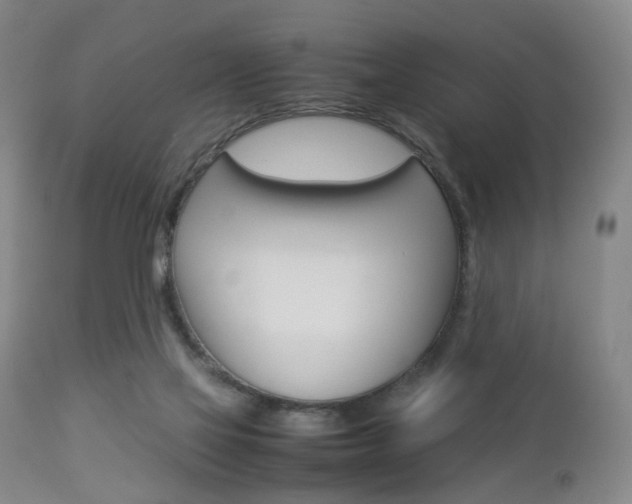 X0000112850069200908211040
