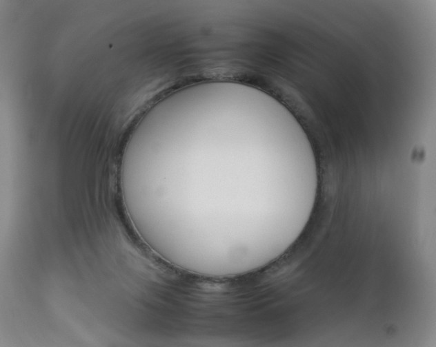 X0000112850071200908211040