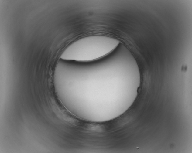 X0000112850073200908211040