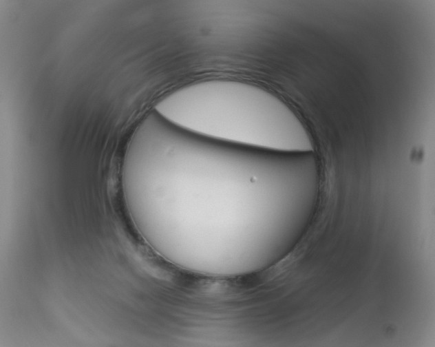 X0000112850074200908211040
