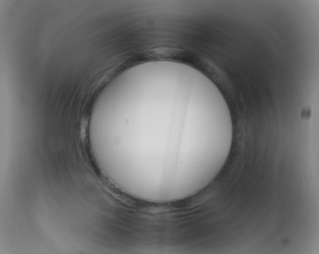 X0000112850075200908211040