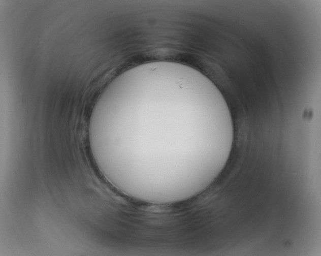 X0000112850077200908211040