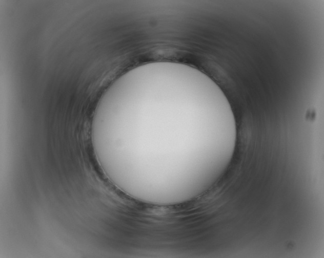 X0000112850079200908211040