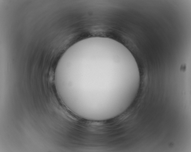 X0000112850081200908211040