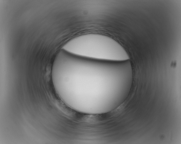 X0000112850082200908211040