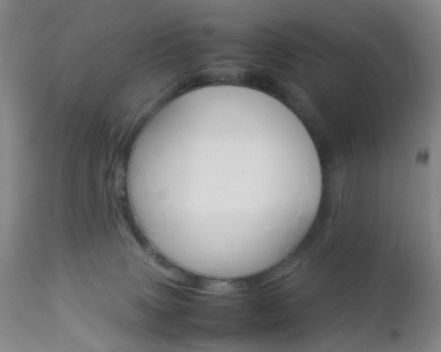 X0000112850083200908211040
