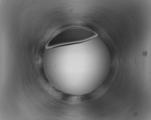 X0000112850084200908211041