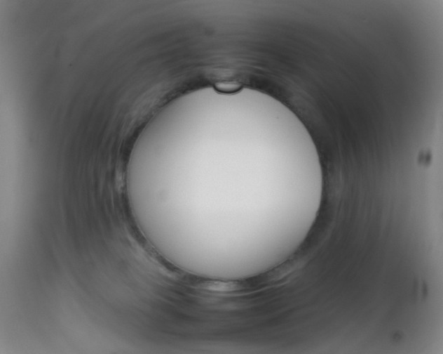 X0000112850085200908211041