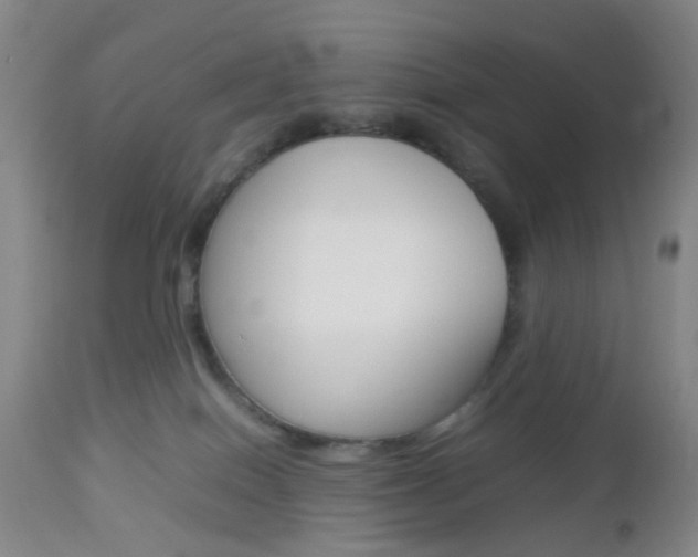 X0000112850086200908211041