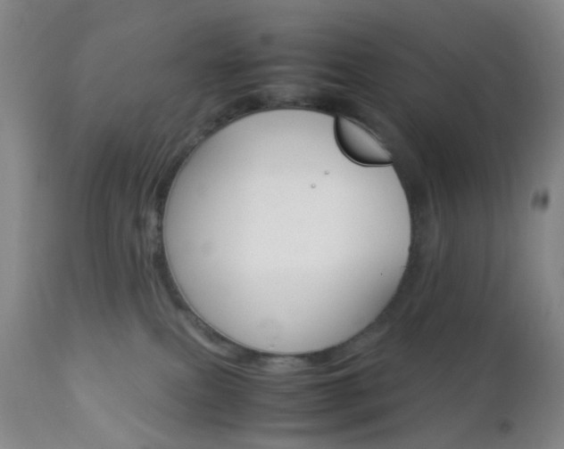 X0000112850087200908211041