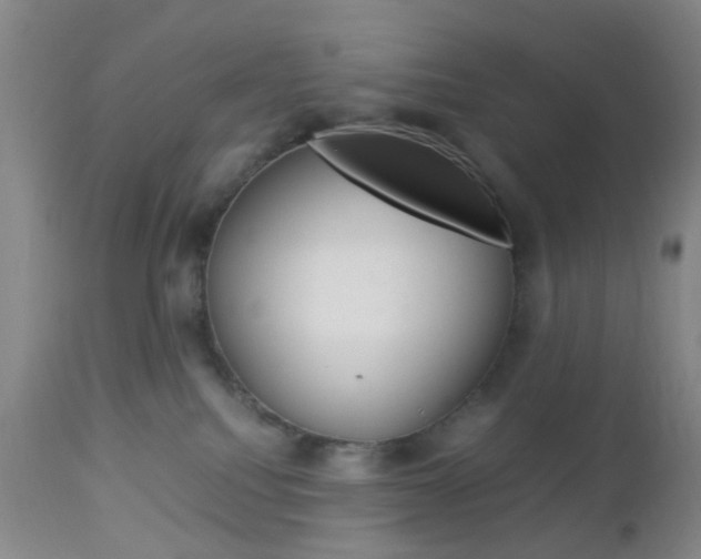 X0000112850088200908211041