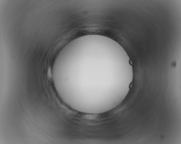 X0000112850089200908211041