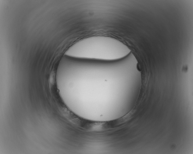 X0000112850090200908211041