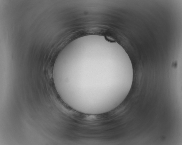 X0000112850091200908211041