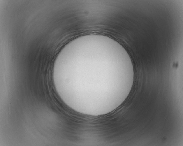 X0000112850092200908211041