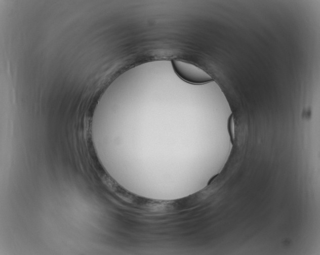 X0000112850093200908211041
