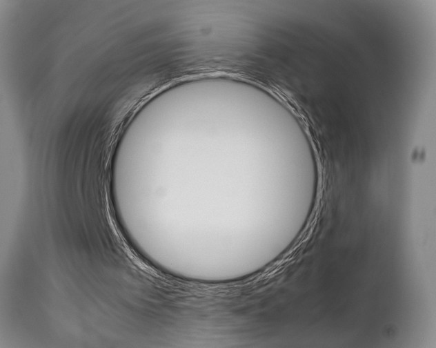 X0000112850097200908211040