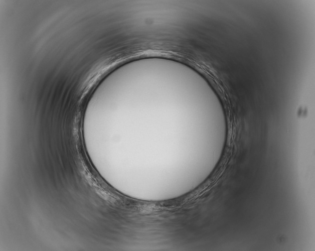 X0000112850098200908211040
