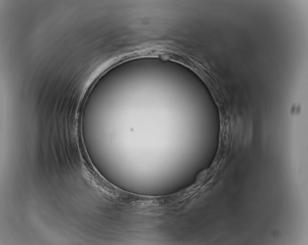 X0000112850100200908211040