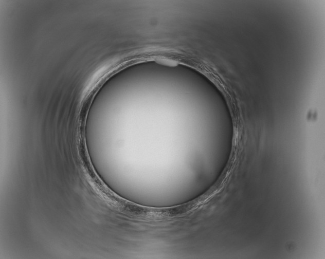 X0000112850101200908211040