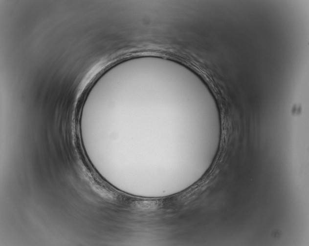 X0000112850102200908211040