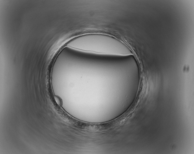 X0000112850103200908211040