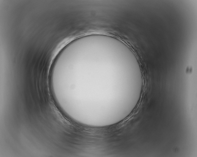 X0000112850104200908211040