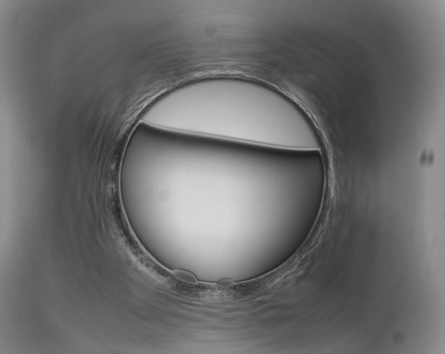 X0000112850105200908211040