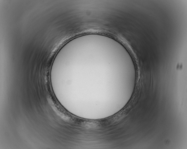 X0000112850106200908211040