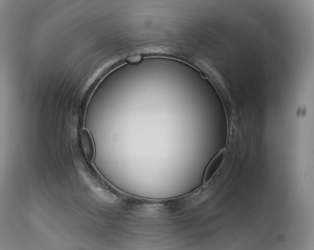 X0000112850108200908211040
