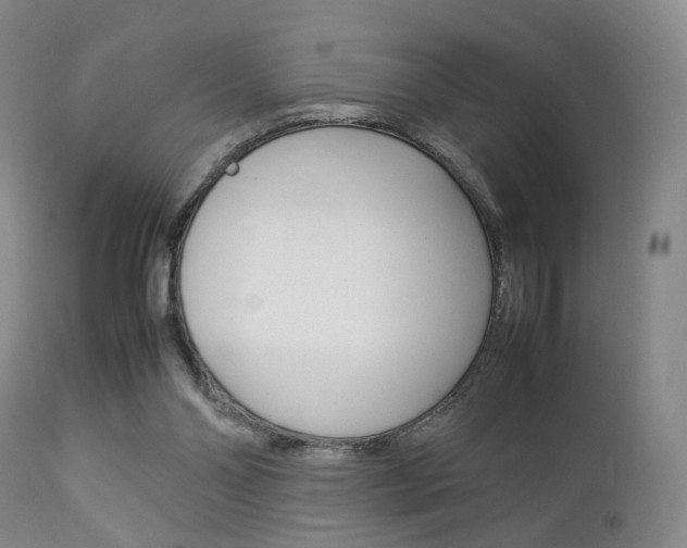 X0000112850110200908211040