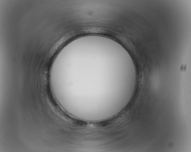 X0000112850111200908211040