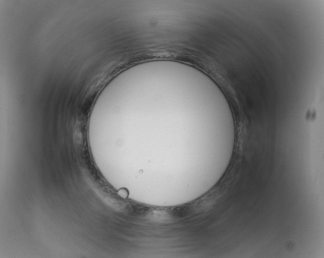 X0000112850114200908211040