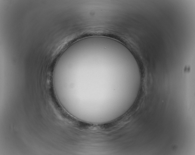 X0000112850115200908211040