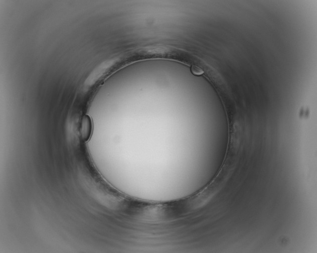 X0000112850116200908211040