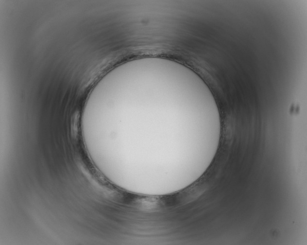 X0000112850118200908211040