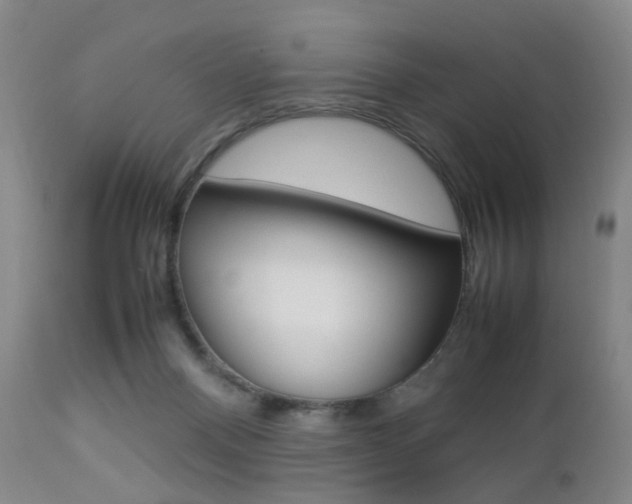 X0000112850120200908211040