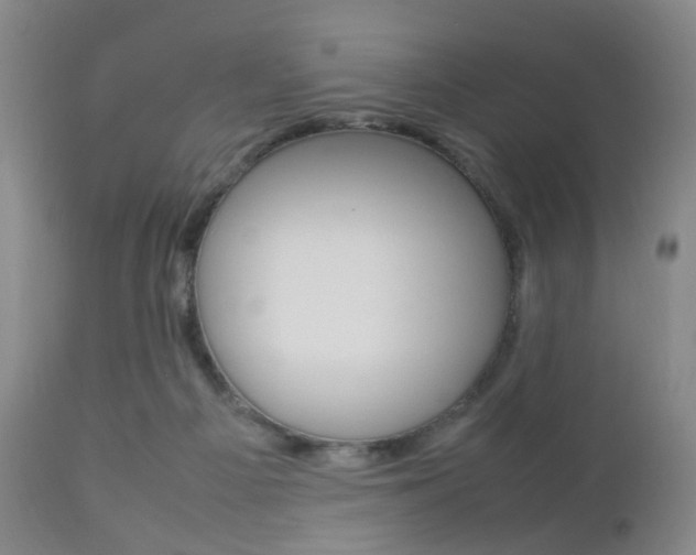 X0000112850121200908211040