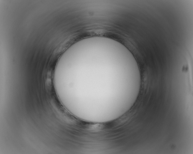 X0000112850122200908211040